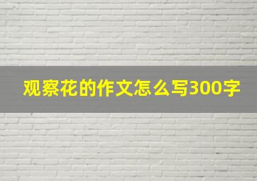 观察花的作文怎么写300字