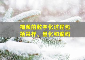 视频的数字化过程包括采样、量化和编码