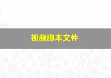 视频脚本文件