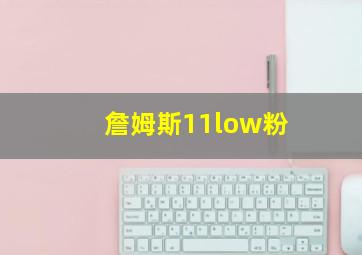 詹姆斯11low粉