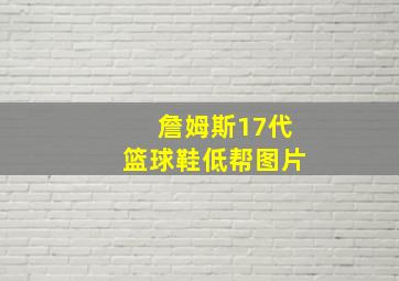 詹姆斯17代篮球鞋低帮图片