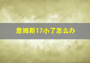 詹姆斯17小了怎么办