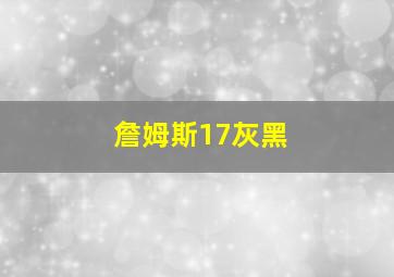 詹姆斯17灰黑