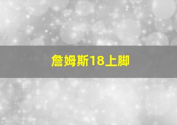 詹姆斯18上脚