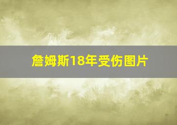 詹姆斯18年受伤图片