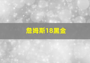 詹姆斯18黑金