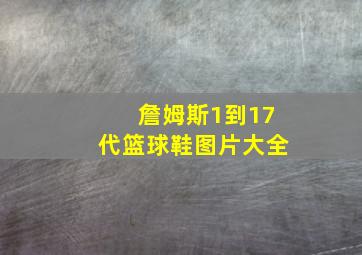 詹姆斯1到17代篮球鞋图片大全