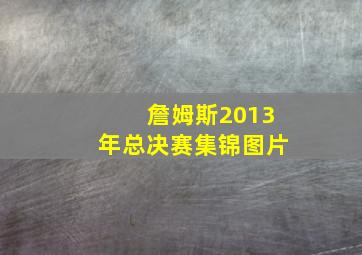 詹姆斯2013年总决赛集锦图片