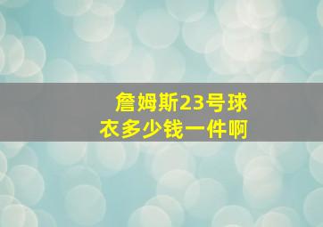 詹姆斯23号球衣多少钱一件啊