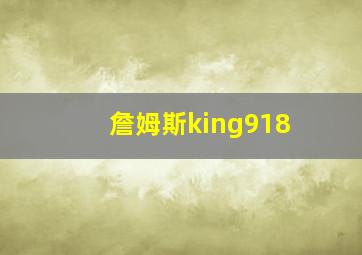 詹姆斯king918