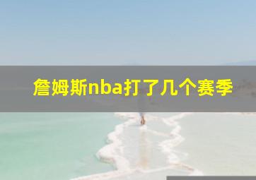 詹姆斯nba打了几个赛季