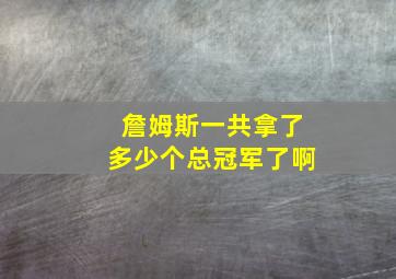 詹姆斯一共拿了多少个总冠军了啊