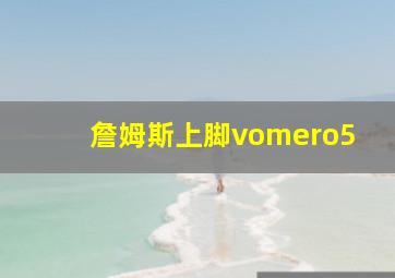 詹姆斯上脚vomero5