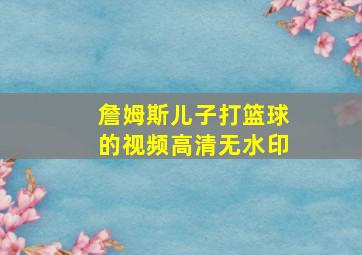 詹姆斯儿子打篮球的视频高清无水印