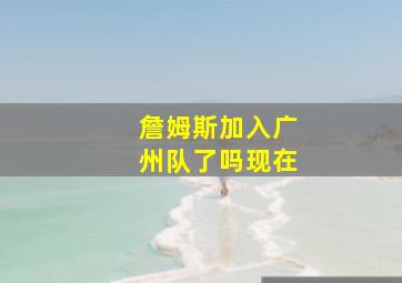 詹姆斯加入广州队了吗现在