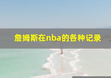 詹姆斯在nba的各种记录