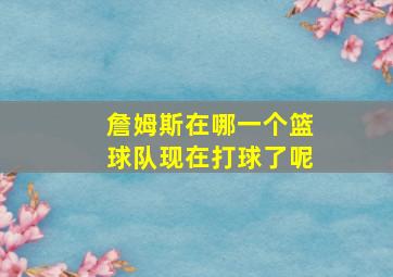 詹姆斯在哪一个篮球队现在打球了呢