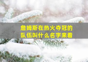 詹姆斯在热火夺冠的队伍叫什么名字来着