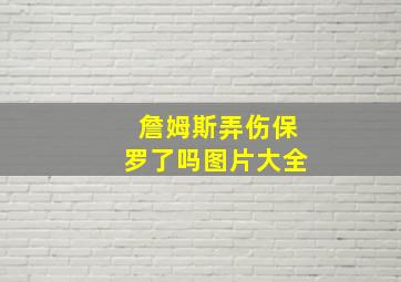 詹姆斯弄伤保罗了吗图片大全