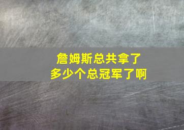 詹姆斯总共拿了多少个总冠军了啊