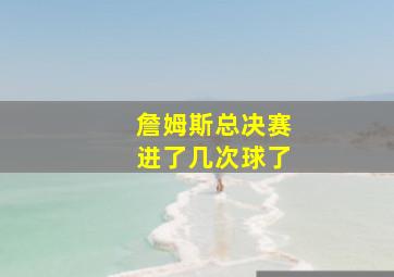 詹姆斯总决赛进了几次球了