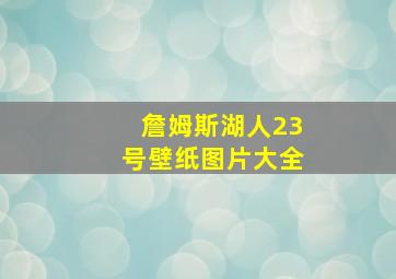 詹姆斯湖人23号壁纸图片大全