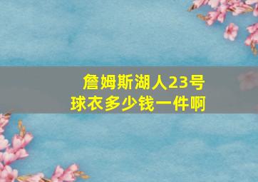 詹姆斯湖人23号球衣多少钱一件啊