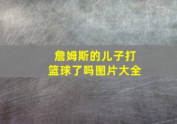 詹姆斯的儿子打篮球了吗图片大全