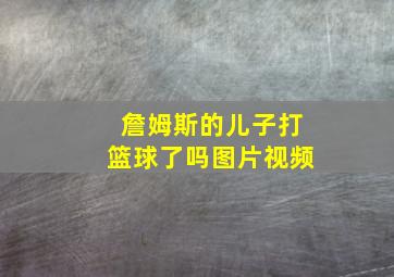 詹姆斯的儿子打篮球了吗图片视频