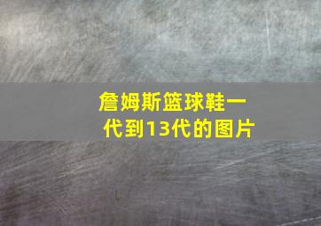 詹姆斯篮球鞋一代到13代的图片