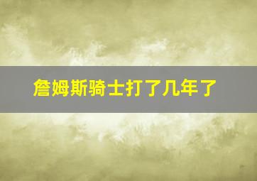 詹姆斯骑士打了几年了