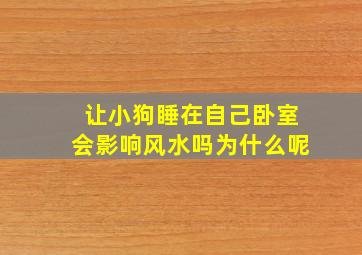 让小狗睡在自己卧室会影响风水吗为什么呢