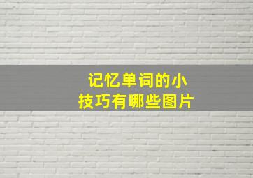 记忆单词的小技巧有哪些图片