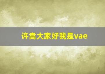 许嵩大家好我是vae