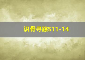 识骨寻踪S11-14