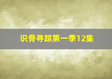 识骨寻踪第一季12集