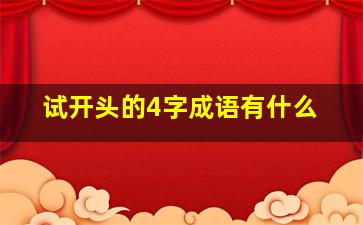 试开头的4字成语有什么