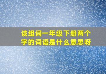 该组词一年级下册两个字的词语是什么意思呀