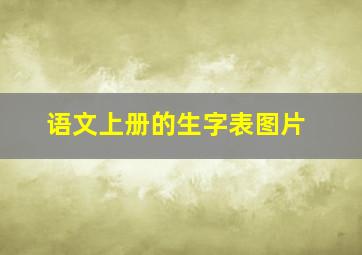 语文上册的生字表图片