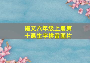 语文六年级上册第十课生字拼音图片