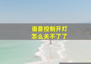 语音控制开灯怎么关不了了