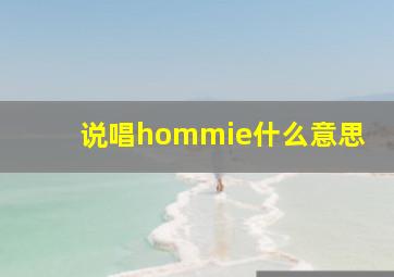 说唱hommie什么意思