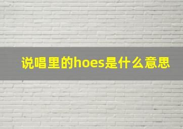 说唱里的hoes是什么意思