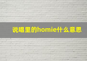 说唱里的homie什么意思