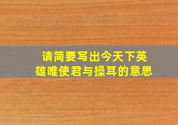 请简要写出今天下英雄唯使君与操耳的意思