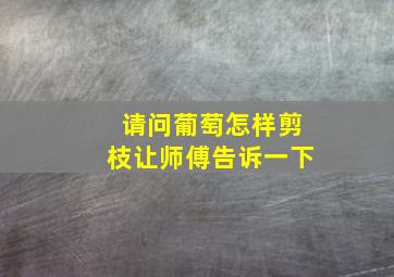 请问葡萄怎样剪枝让师傅告诉一下