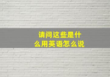 请问这些是什么用英语怎么说