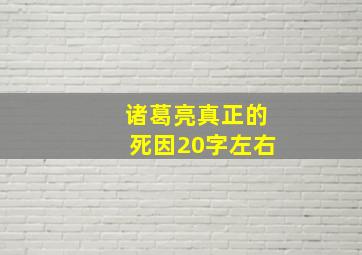 诸葛亮真正的死因20字左右