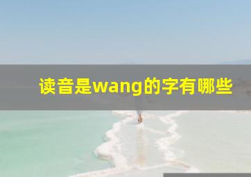 读音是wang的字有哪些