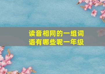 读音相同的一组词语有哪些呢一年级